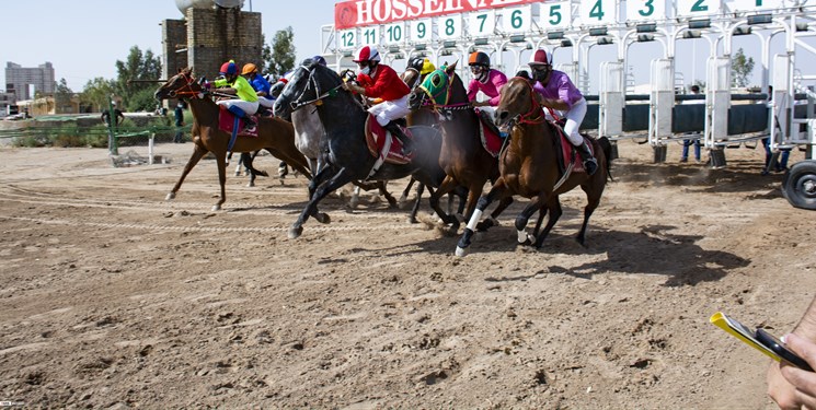۱۲۱ اسب در هفته نهم کورس گنبدکاووس با هم رقابت می کنند