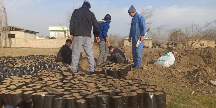 ۷ استر چوب قاچاق جنگلی در گنبدکاووس کشف و ضبط شد