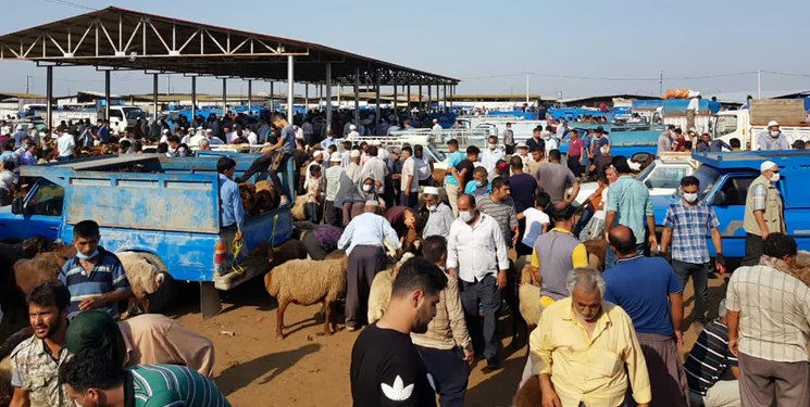 عملیات اجرایی بزرگترین میدان دام شمال شرق کشور با اعتبار ۶۸۴ میلیارد تومان در دهه فجر آغاز می شود