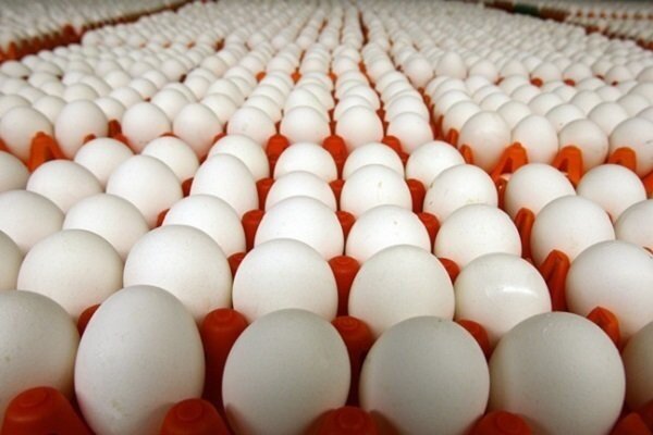 قیمت تخم مرغ در آمریکا رکورد شکست/ دوجین ۴.۵ دلار