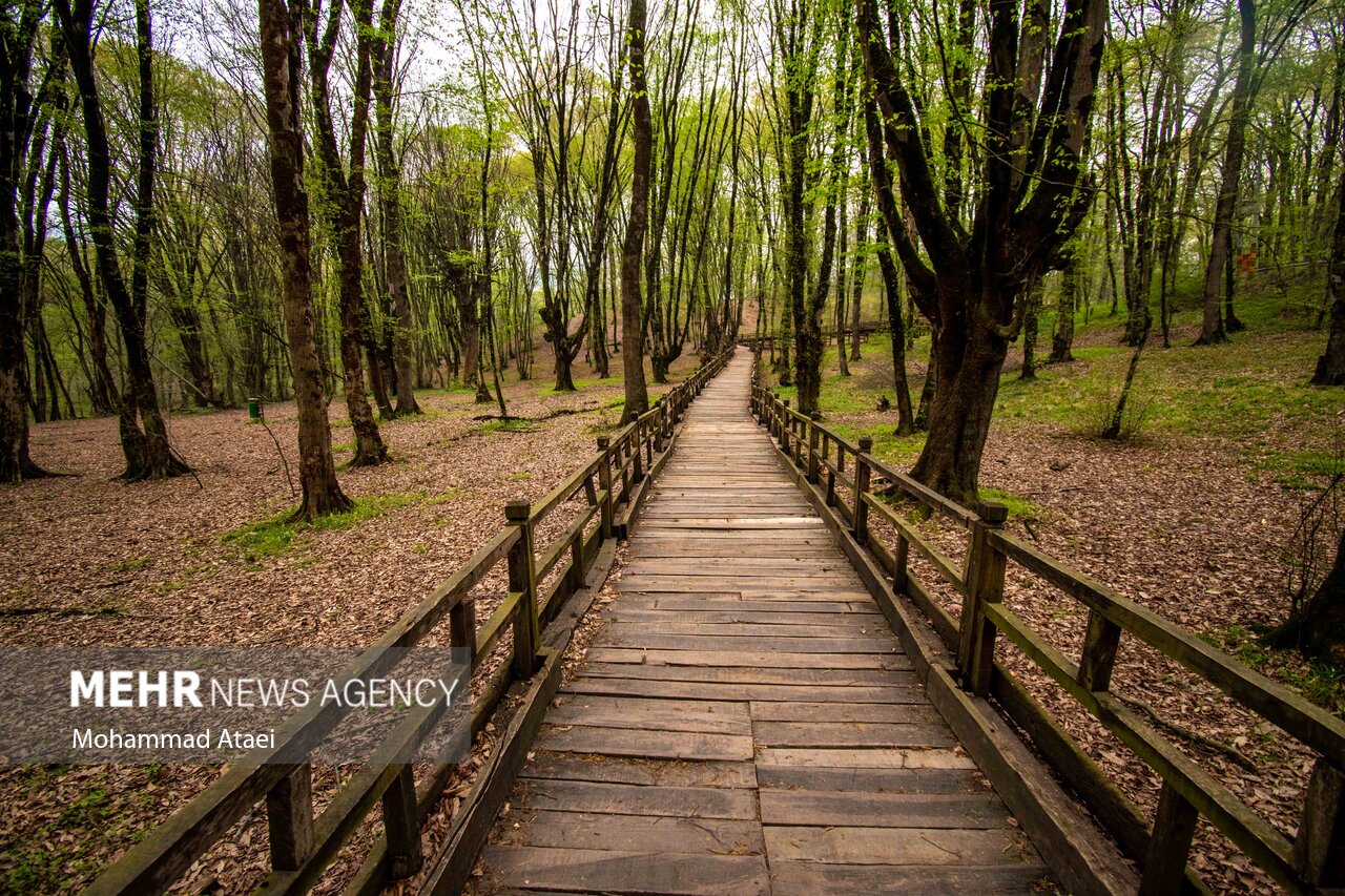 دستگیری سازنده کلیپ های آغوش رایگان