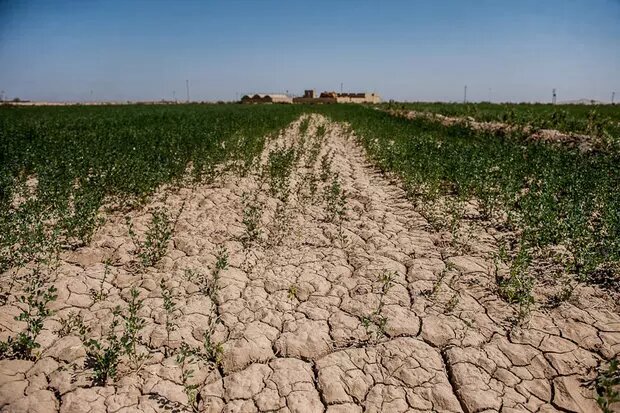 چشم اندار روشنی برای آبیاری مزارع گلستان وجود ندارد