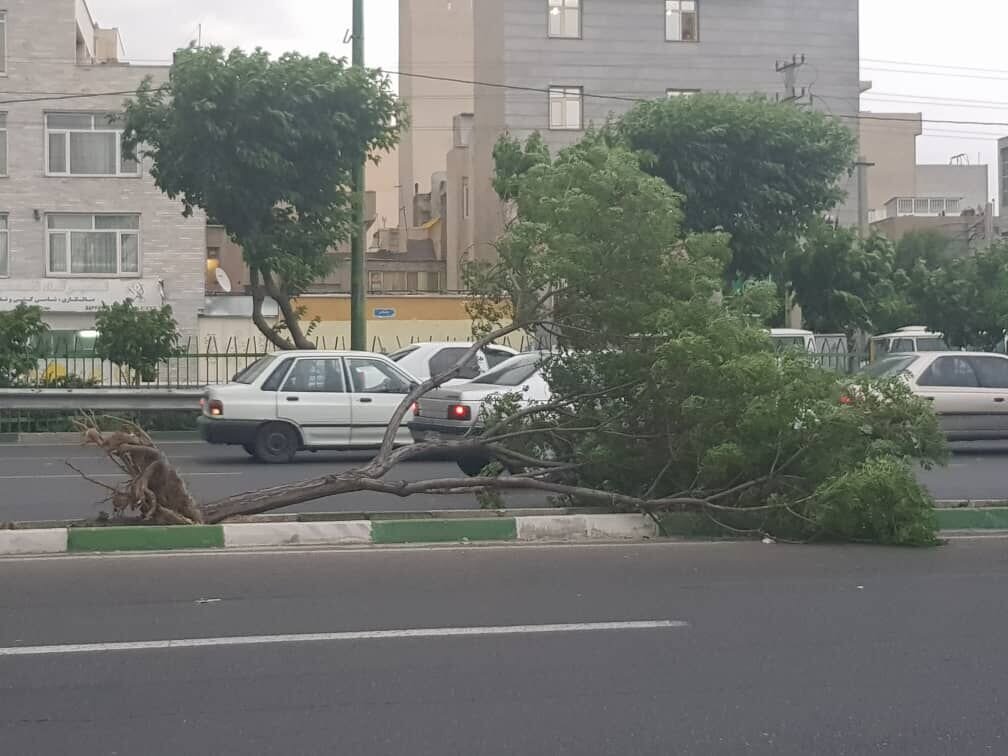 هشدار هواشناسی برای جنوب کشور |  وزش باد شدید در این مناطق؛ افزایش ارتفاع موج در سوال خلیج فارس | توصیه‌ های مهم برای کا