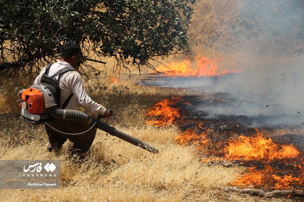 ۲۲۸ هزار هکتار جنگل و مرتع در آتش سوخت | سال سیاه طبیعت ایران کدام سال بود؟ + اینفوگرافیک
