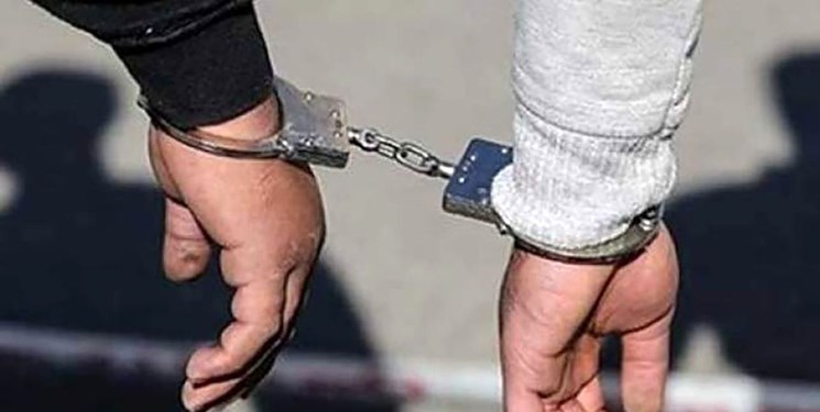 ۲۲ متخلف حوزه میراث فرهنگی در گلستان دستگیر شدند