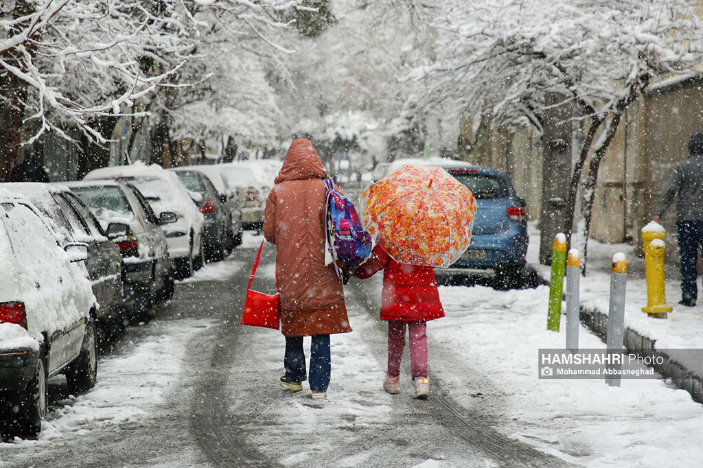 ۱۹ استان برفی و بارانی می‌شوند | ‌تهرانی‌ها منتظر بارش باشند | شدت بارش‌ها در این ۴ استان