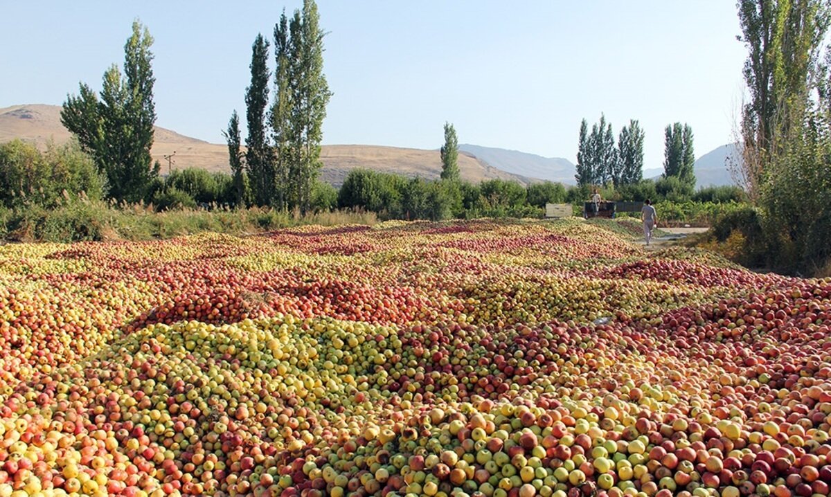 اتفاقی که دخل دریاچه ارومیه را در آورد