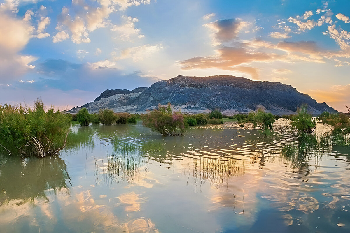 طالبان حق‌آبه هیرمند را رهاسازی کرد | ۵۰ درصد تالاب هامون آبگیری شد