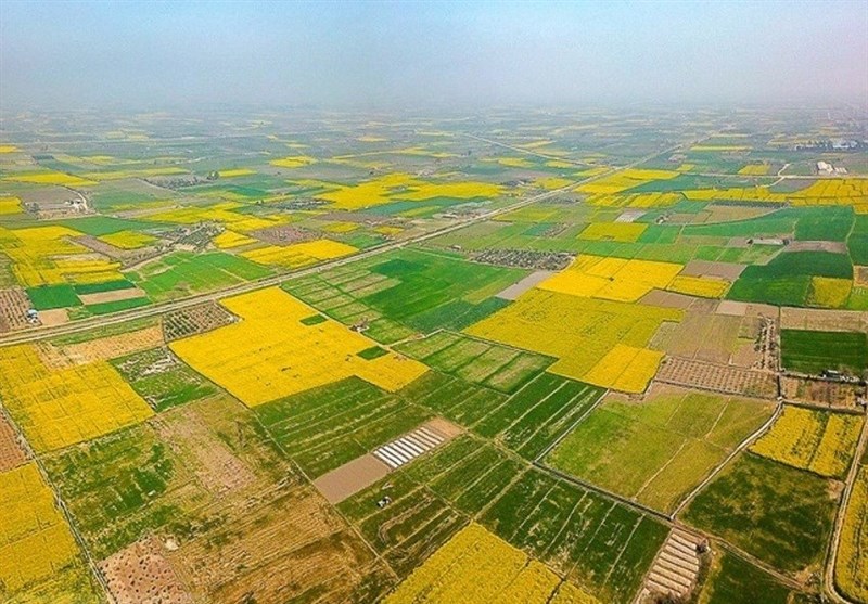 زمین‌خوار‌ی اراضی گلستان در نبود اسناد کاداستر