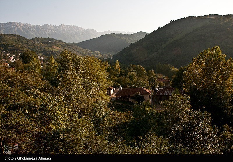 بازگشت ۱۰۰ هکتار از جنگلهای هیرکانی به منابع طبیعی بازگشت ۱۰۰ هکتار از جنگلهای هیرکانی به منابع طبیعی