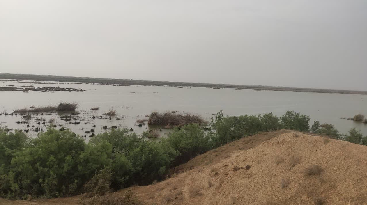 جان تازه در رگ تالابهای بینالمللی گلستان/آغاز لایروبی کانالهای آبرسان جان تازه در رگ تالابهای بینالمللی گلستان/آغاز لایروبی کانالهای آبرسان