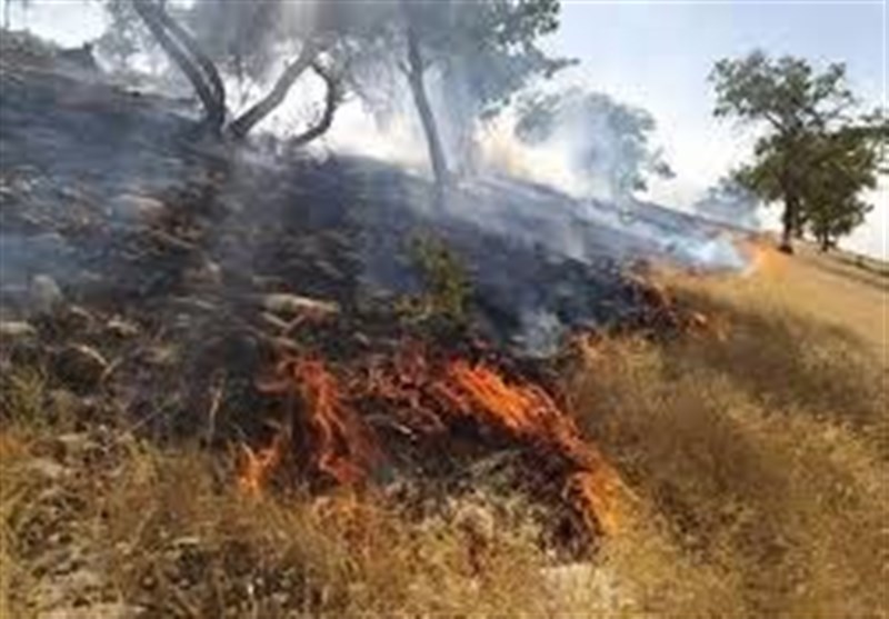 هشدار آتش‌سوزی در جنگل‌های گلستان/منابع‌طبیعی در آماده‌باش