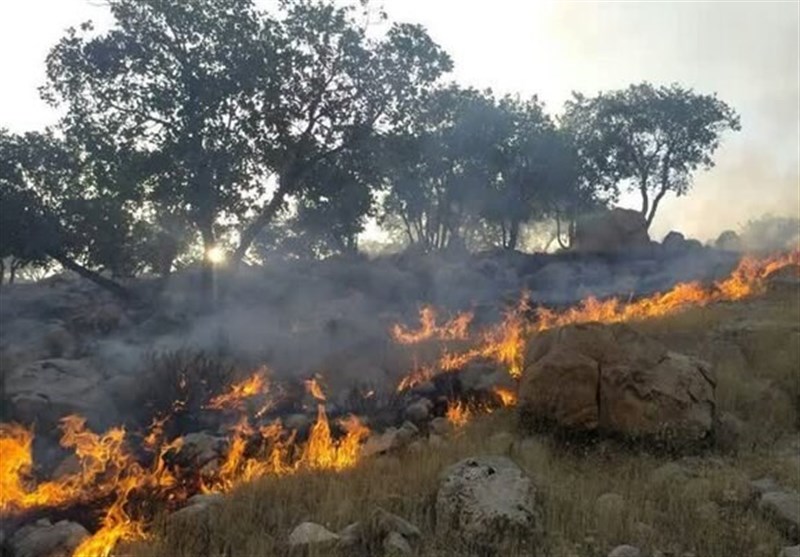 هشدار آتشسوزی در جنگلهای گلستان/ اعلام آمادهباش به نیروهای امدادی هشدار آتشسوزی در جنگلهای گلستان/ اعلام آمادهباش به نیروهای امدادی