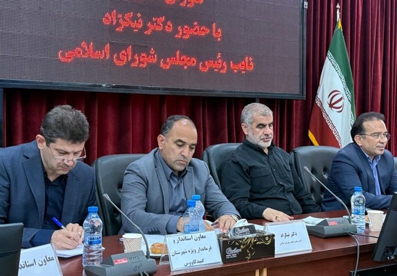 نیکزاد: هوشیاری نیروهای مسلح و همبستگی ملی عامل پیروزی در جنگ ۱۲ روزه نیکزاد: هوشیاری نیروهای مسلح و همبستگی ملی عامل پیروزی در جنگ ۱۲ روزه