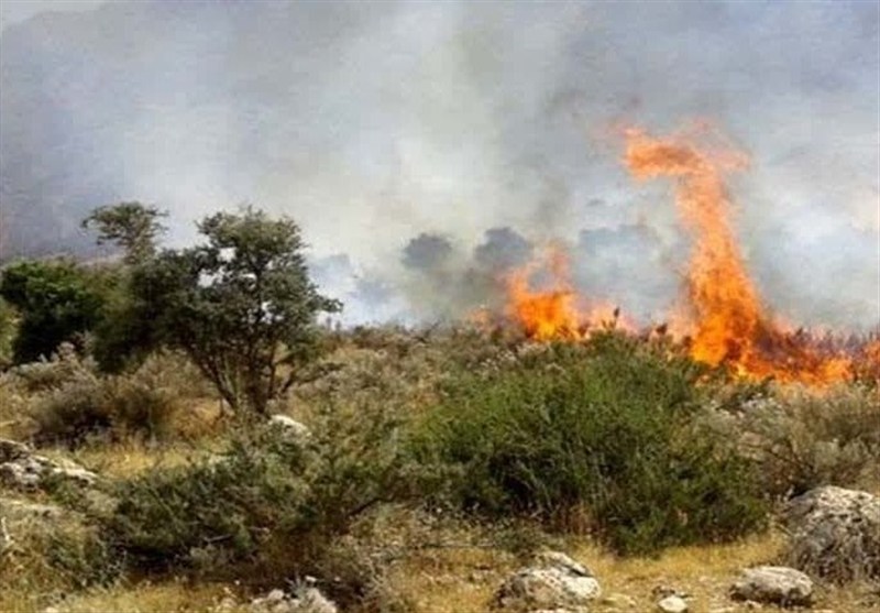 آتشسوزی در دل جنگل گلستان با سهلانگاری گردشگران/ زنگ خطر به صدا درآمد آتشسوزی در دل جنگل گلستان با سهلانگاری گردشگران/ زنگ خطر به صدا درآمد