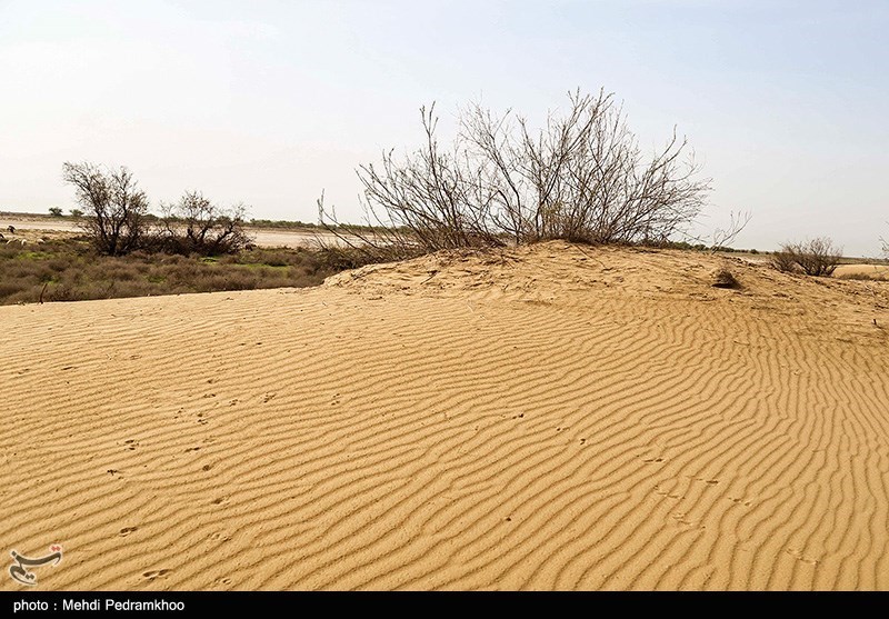 بیابان‌زایی در کمین ۳۰۶ هزار هکتار از مراتع گلستان