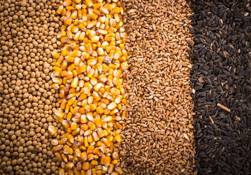 چالش‌های تامین کود و نهاده‌ها؛ وعده وزارت جهاد برای همکاری با بخش خصوصی