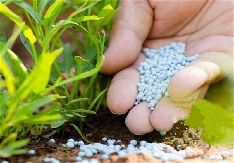 رشد ۲۸ درصدی توزیع کود اوره در گلستان
