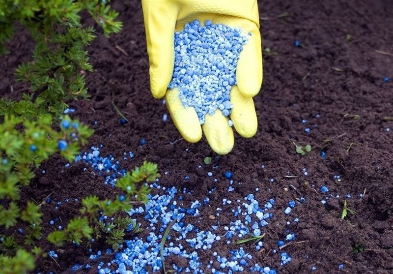 هشدار برای فقر خاک در گلستان/تامین۴۰ درصد کود مورد نیاز کشاورزان